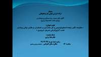 ارائه گزارش